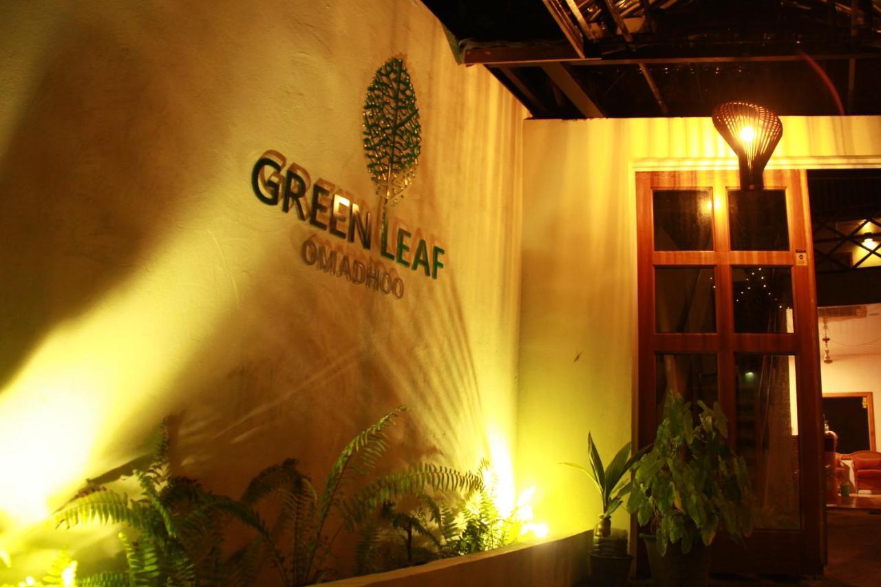 Green Leaf Guest House - Omadhoo Exteriér fotografie